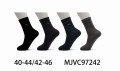 MJVC97242.jpg