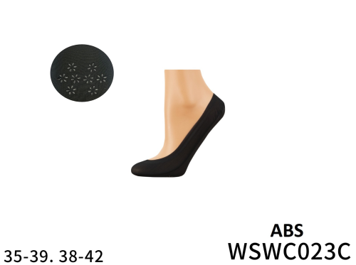 WSWC023C.png