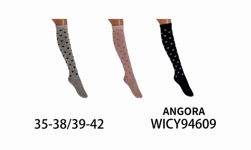 WICY94609.jpg