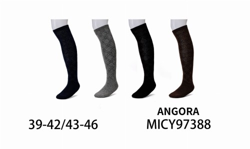 MICY97388.jpg