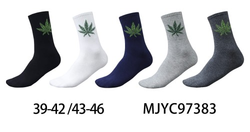 MJYC97383.jpg