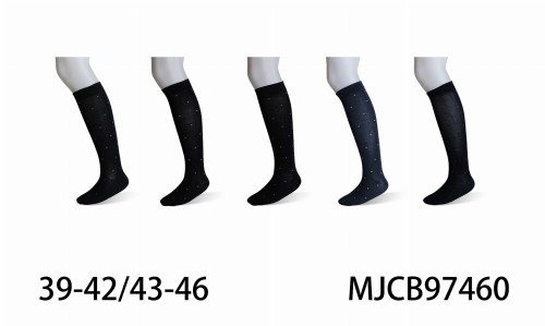 MJCB97460.jpg