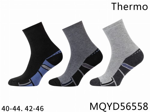 MQYD56558.jpg