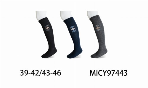 MICY97443.jpg