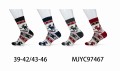MJYC97467.jpg