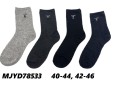 MJYD78533.jpg