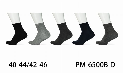 PM-6500B-D.JPG