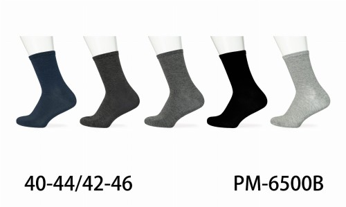 PM-6500B.JPG