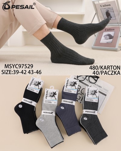 MSYC97529.jpg