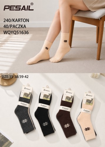 WQYQ51636.jpg
