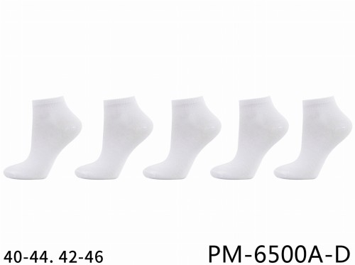 PM-6500A-D.JPG